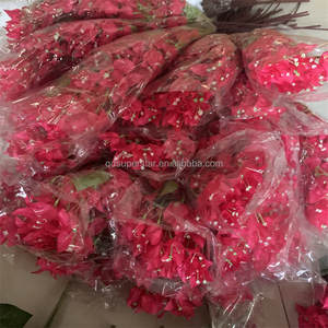 E-550 Fleur Artificielle <span class=keywords><strong>Bougainvillier</strong></span> Grandes Branches 96cm Bougainvilliers Décoratif Rouge Fleur De Mariage Bougainvilliers <span class=keywords><strong>En</strong></span> Soie - Product Image 6