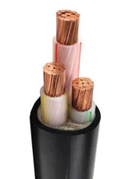 Industrielles Niederspannungs-XLPE-Kabel mit PVC-Ummantelung, Hochflexibles YJV-Modell 3*10mm, 99,9% Reinkupfer-Konstruktion