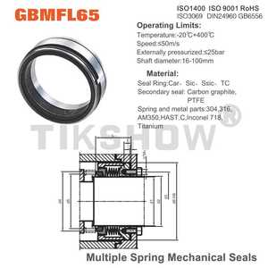 Gbmfl65 tuân thủ kim loại dưới con dấu cơ khí-đáng tin cậy cho các ứng dụng hóa chất và dầu kim loại chất lượng cao dưới cơ khí - Product Image 3