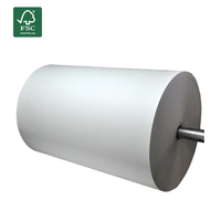 Papier de transfert par sublimation en polyester léger blanc à séchage rapide et à taux de transfert élevé 35 g/m² 45 g/m² pour imprimante industrielle MS-JP4
