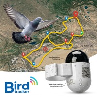 Enregistreur de vol Raptor 2.2g avec fonction de capture de plongée, suivi de glisse et enregistrement d'altitude GPS pour l'analyse Apex Falcon