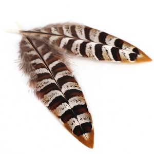 Piume Naturali Lavate Marroni di Piccolo Formato 10-15cm di Fagiano Reeves per Gioielli Fai da Te - Ingrosso Fabbrica Yiwu International Trade City - Product Image 4