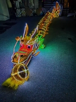 Costume de danse du dragon lumineux à LED, accessoire traditionnel du Nouvel An chinois, dragon lumineux pour spectacle de scène, performance nocturne, spectacle de carnaval