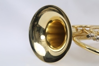 Hot Sale Colored Wind Instrument Euphonium with Golden Lacquer