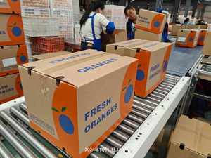 Exportadores de naranjas frescas de Newhall Naranjas frescas/Valencia y Navel <span class=keywords><strong>Naranja</strong></span> fresca/<span class=keywords><strong>Naranja</strong></span> fresca de Valencia - Product Image 6