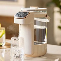 Bouilloire Électrique en Verre Borosilicate Grande Capacité 4L, 800W, Température Réglable, Vente en Gros, Fabrication Personnalisée