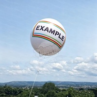 Ballon gonflable géant personnalisé de 2m 3m avec logo imprimé numériquement, portable, imperméable et durable pour fêtes