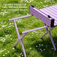 Table pliante de camping moderne en acier inoxydable - Table de repas portable pour la plage et les pique-niques