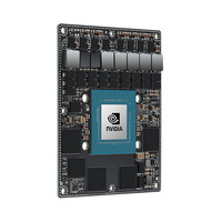 Modul RAM NVIDIA Jetson AGX Orin 32GB, Performa AI 200 TOPS, 900-13701-0040-000 untuk Komputasi Tepi (Edge Computing)