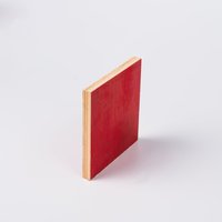 Factory Construction Anti-Corrosion Plywood Building Templates Timber Formwork