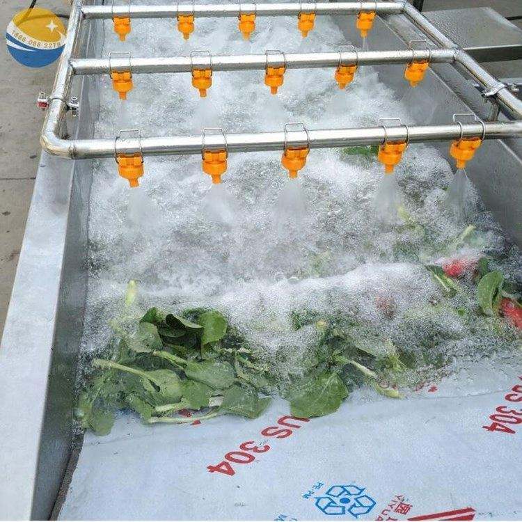 Vege Planting Machine Vegetable and fruit washing machine Vegetable Washing Machine Home ...