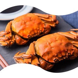 Poudre d'œufs de crabe de haute qualité au parfum naturel - Assaisonnement alimentaire en poudre pour nouilles instantanées et fruits de mer - Product Image 1