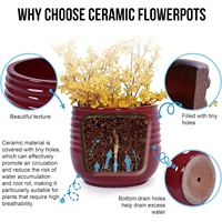 Pots de fleurs carrés et ronds de styles variés pour l'intérieur et l'extérieur, jardinières de jardin