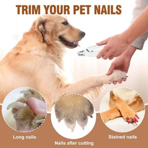 USB Chargeable Eco-friendly Electric Pet Grooming <b>Tool</b> Stainless Steel Dog Nail Clipper & Grinder Battery <b>Powered</b> Paw Care - Product Image 5