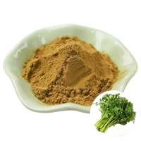 Poudre de feuilles de selvedre OEM, ingrédient végétal naturel pour adultes, poudre verte fine pour soupes et assaisonnements, directement de l'usine.