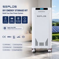 Kit de Batería de Almacenamiento Solar Seplos DIY, Paquete de Baterías de Litio de 51.2V 628Ah LiFePO4 con Sistema de Monitoreo Bluetooth BMS Inteligente