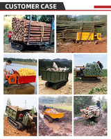 Elektrischer Mini-Dumper 500kg 750kg 1000kg 1,5 Tonnen Selbstladender Hochhub-Batterie-Kompakt-Garten-Raupendumper