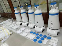 Robot Humanoide de Inteligencia Artificial Personalizado, Fabricado con Moldeo al Vacío Profesional, Robot de Plástico