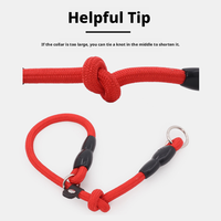 Collier de dressage pour chien en nylon solide, confortable et réglable, avec fermeture auto-agrippante, marque privée, vente en gros