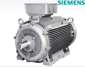 Moteurs triphasés à courant alternatif basse tension à haut rendement IE3 1LE8003 380V/660V 50/60Hz entièrement fermés - Product Image 1