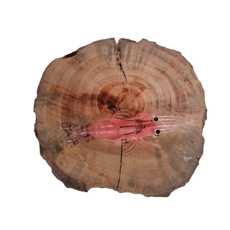 Colore D 10 pezzi/confezione