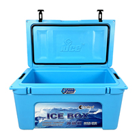 Glacière isotherme en plastique TOLEE 60L, glacière portable pour boissons, canettes de bière, pêche, extérieur