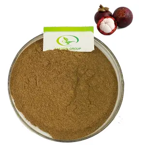 Extrait de mangoustan en poudre, extrait d'écorce de mangoustan de haute qualité