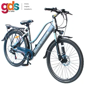 GDS EBike C010 2 좌석 전기 도시 자전거 자전거 전자 자전거 velo electrique-homm bisiklet e 자전거