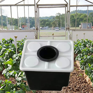 Grande Design del capanno in plastica con sistema idroponico olandese - Product Image 5