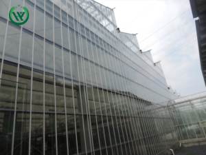 Serre personnalisée de petite taille et de forme spéciale pour diverses applications agricoles, pour la culture des fleurs, la recherche scientifique et les loisirs - Product Image 2