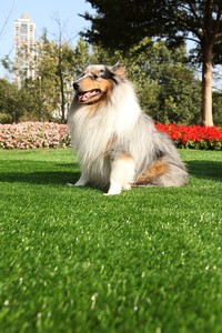 Chống UV mật độ cao mới nhất kinh tế cảnh quan Turf - Product Image 5