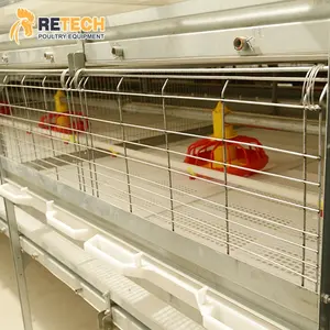 Hot Dip Galvanized Broiler Poultry Chicken Farm H Type Multi Tiers Meat Broiler Chicken Battery Cage