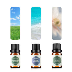 Großhandel natürliche ätherische Öl Geschenkset aus China/10pcs Jasmin Lavendel Ingwer Parfüm Bulk für Diffusor und <span class=keywords><strong>Massage</strong></span> - Product Image 3