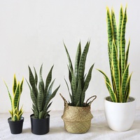40 cm Agave Schlangenpflanze Künstliche Grün-Gelbe Sansevieria Aloe Vera Topfpflanze für Innenräume Heimdekoration Grünpflanze