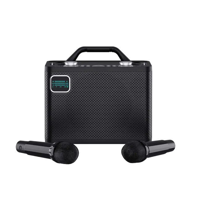 BT 5.0 Wireless Portable Bass Karaoke Speaker Noise Reduction with Dual Microphones Home Theatre Use Battery Powered Made China