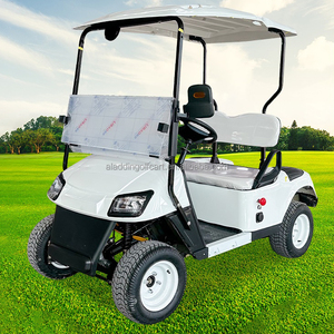 Voiture de <span class=keywords><strong>golf</strong></span> électrique 4 places 48V 4KW/5KW/7KW avec contrôleur Curtis, batterie au lithium, châssis en aluminium, tout-terrain - Product Image 2