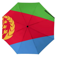 Parapluie d'Érythrée en gros, personnalisable, pour événements sportifs, décorations de célébration, accessoires de supporter sur le thème du drapeau national