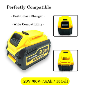 低自放电电池 20V/60V XR 替换电池，适用于冲击钻、往复锯、吹雪机和除尘机 - Product Image 1