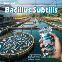 Probiotiques de qualité alimentaire Bacillus subtilis