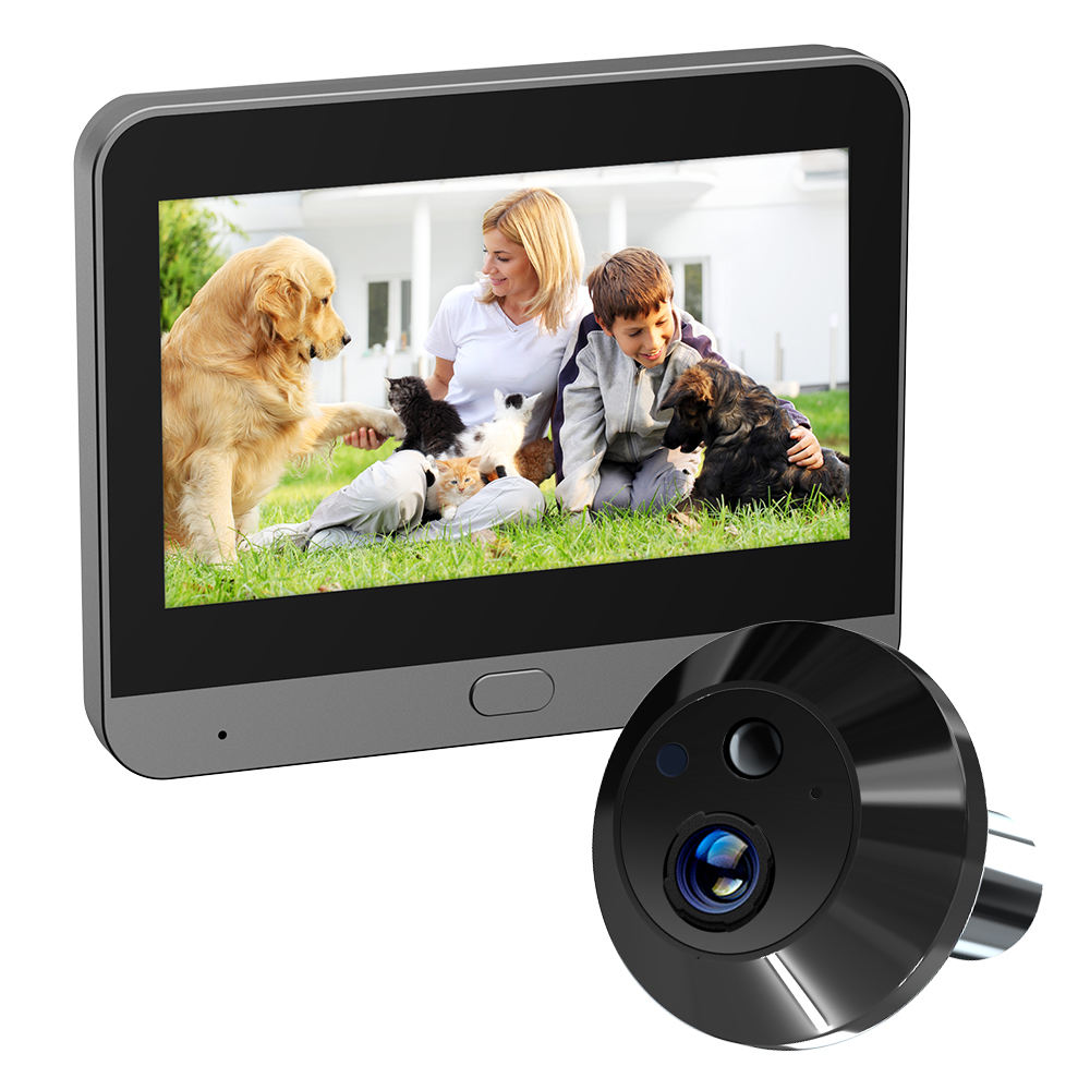 Œil de chat à bordure noire