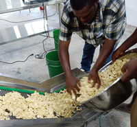 Productielijn voor bananenchips 100kg, aanpasbare machine voor plantainchips, schillen, snijden, frituren, kruiden, verwerking.