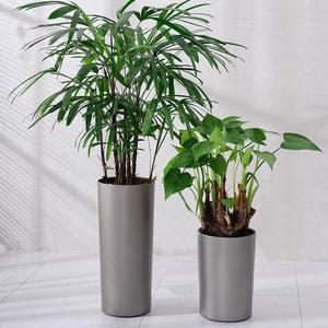 Macetas y jardineras con forma <span class=keywords><strong>de</strong></span> planta verde grande para interiores <span class=keywords><strong>de</strong></span> diseño moderno, <span class=keywords><strong>precio</strong></span> barato al por mayor, jardineras decorativas para jardín con pintura - Product Image 2