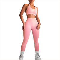 Ensemble de vêtements de sport pour femmes, logo personnalisé du fabricant, OEM, nouvelle collection, vêtements de sport pour femmes, taille haute, 2 pièces, vêtements de yoga actifs pour femmes