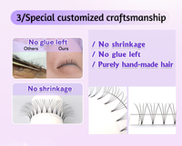 SP EYELASH Ventilateurs de volume préfabriqués 3D 0.07 CC D Curl Personnalisé Tige courte Ventilateurs préfabriqués Fabricant d'extension de cils