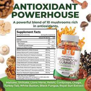 Gomitas Nootrópicas de Melena de León OEM ODM, Suplemento Complejo para la Salud Cerebral, Energía Cognitiva y Apoyo Cerebral - Product Image 2