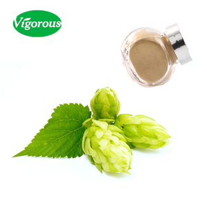 Extrait de plante Extrait pur de houblon Certifié ISO Soins de santé Extrait de fleur de houblon - Product Image 2