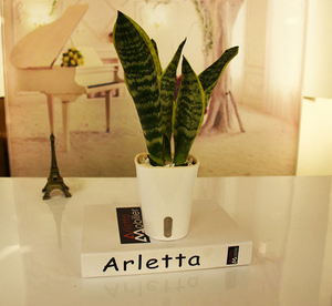 Vente en gros de jardinière hydroponique ronde de bureau d'intérieur durable Pots de fleurs en plastique à arrosage automatique avec pots intérieurs transparents - Product Image 5