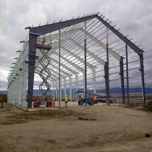 Structures Métalliques pour Usines d'Exportation Optimisées pour Lignes de Production Continues - Product Image 1