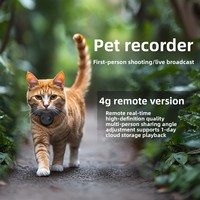 Caméra de surveillance pour animaux de compagnie 4G avec vision nocturne, enregistreur monté sur le cou, streaming en direct, collier intelligent
