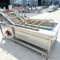 Industriële wasmachine voor groenten en fruit van roestvrij staal met belletjeswasmethode